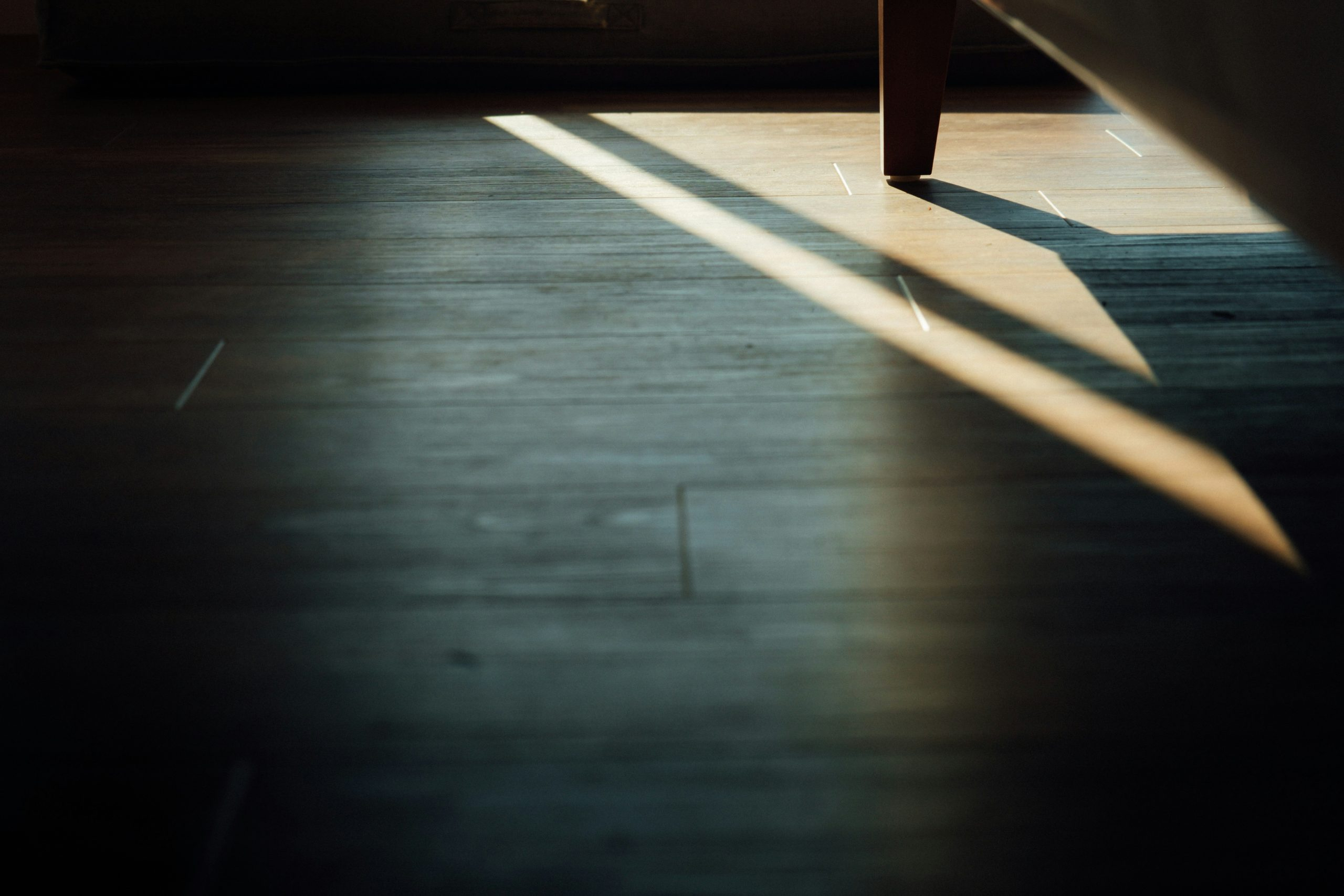 Smart Home Devices and Energy Efficiency