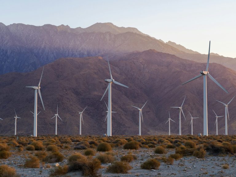 Designing Educational Ecosystems for Sustainable Future Innovations